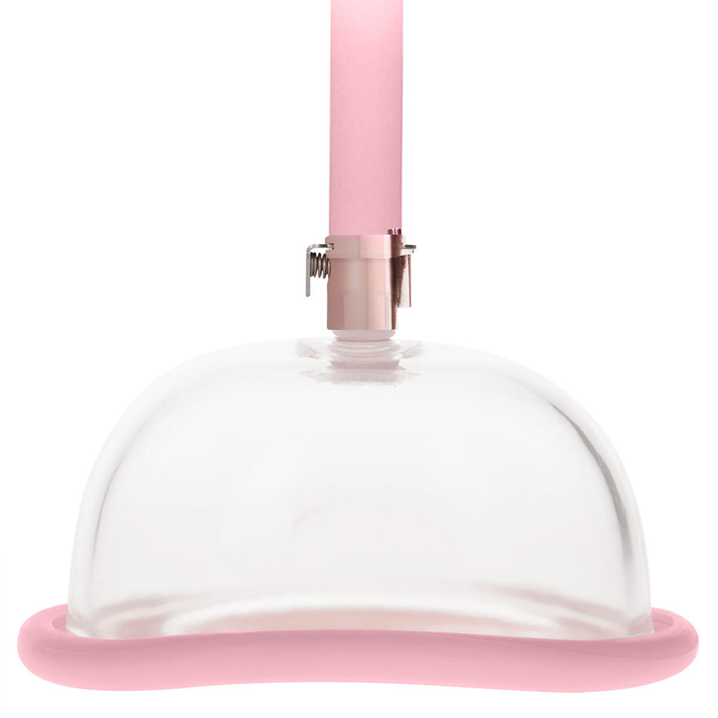 Rose Gold Pussy Pump