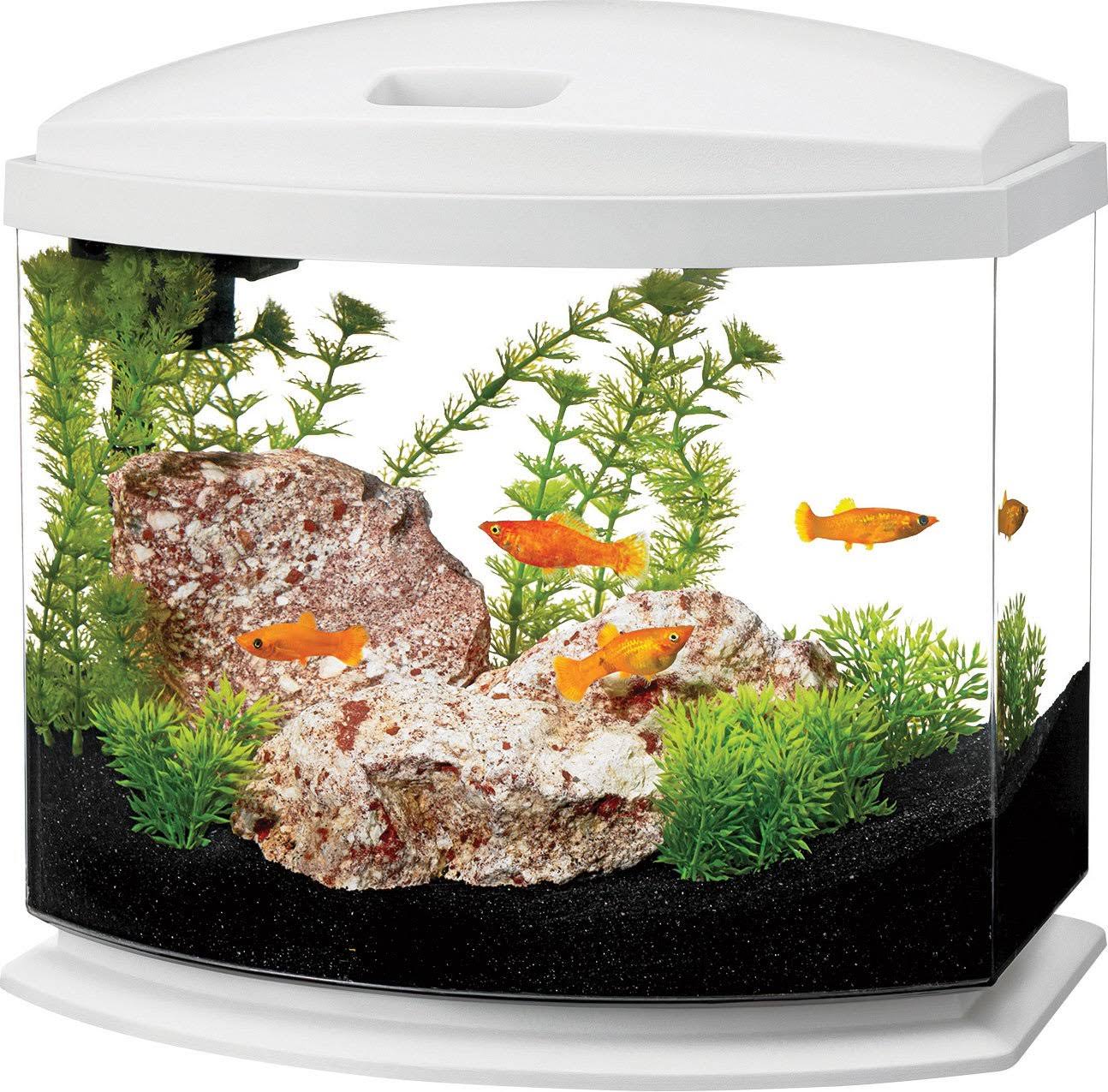 Aqueon LED MiniBow Aquarium Kit Black 5 Gallon