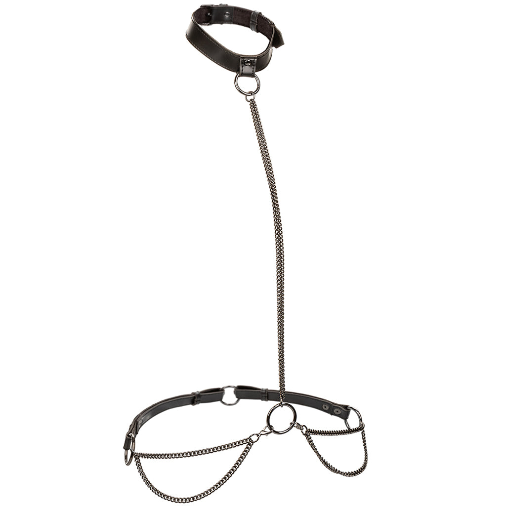 Chain Collar & Leash in OS