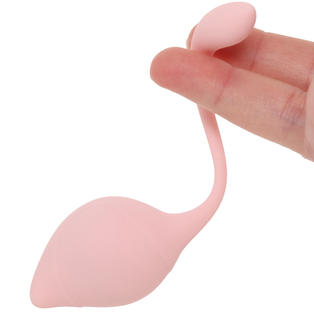 Pelvifit Stem Kegel Kit