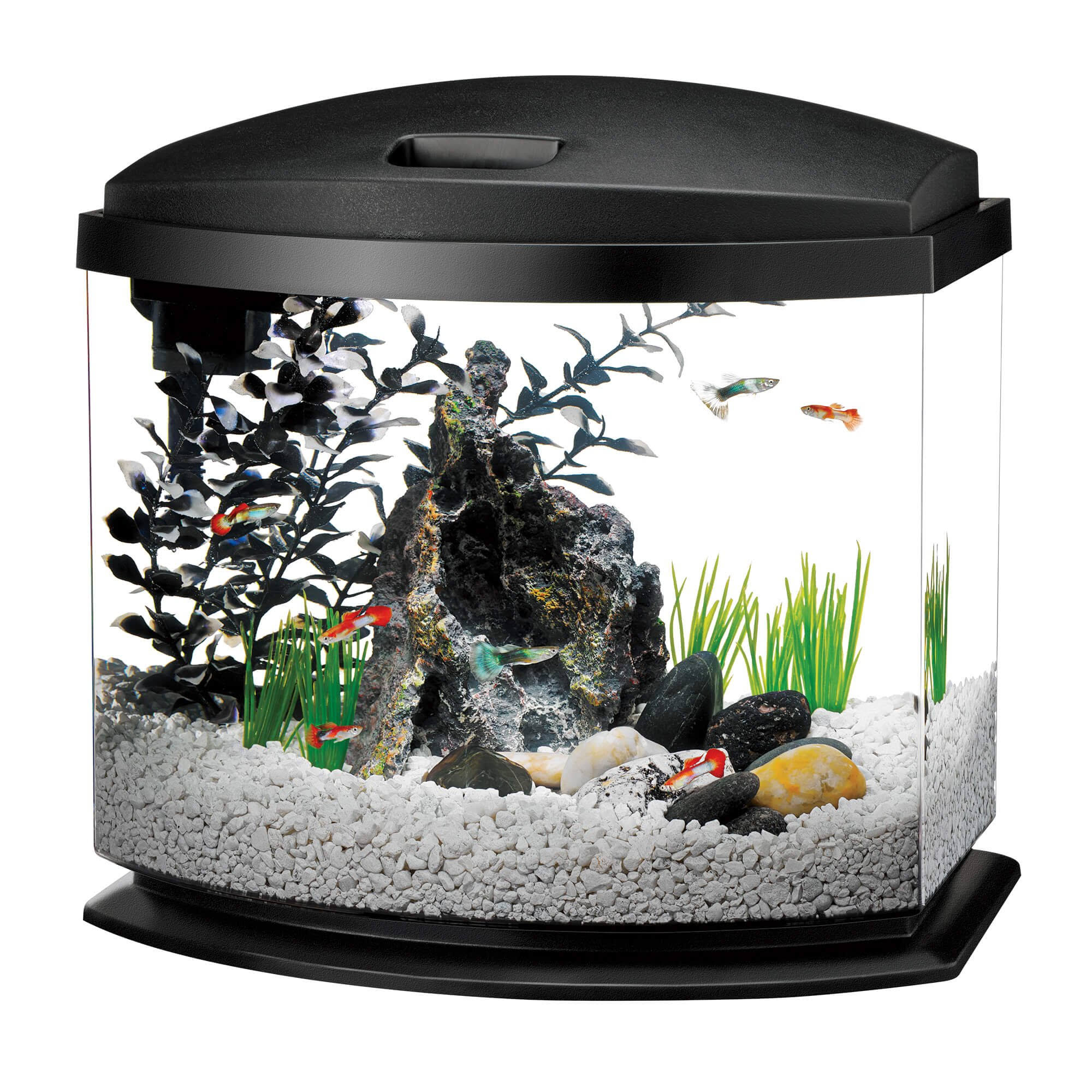 Aqueon LED MiniBow Aquarium Kit Black 5 Gallon
