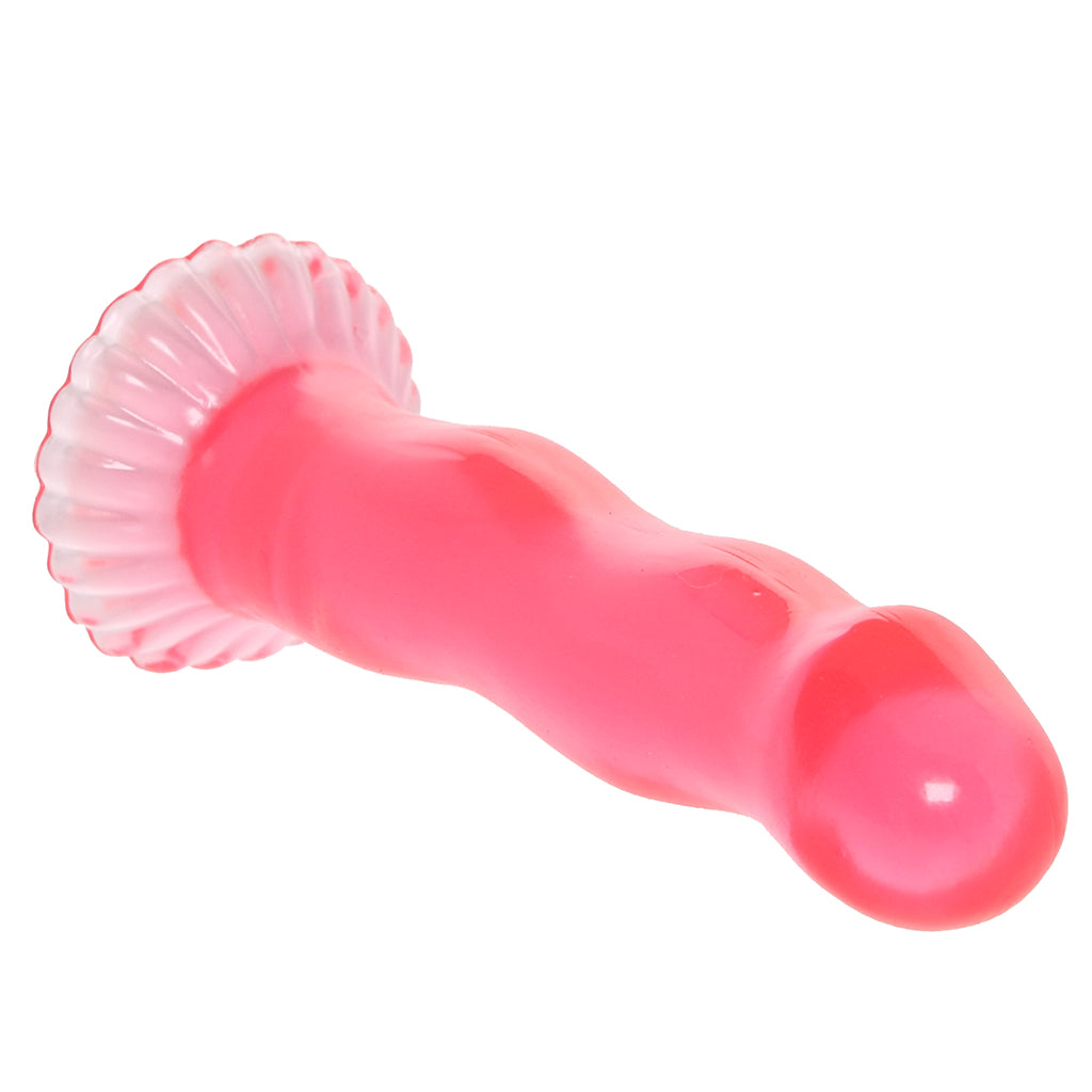 Jellies Dong Starter Kit