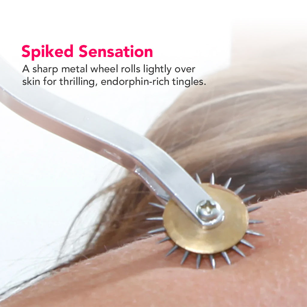 Fantasy Deluxe Wartenberg Wheel