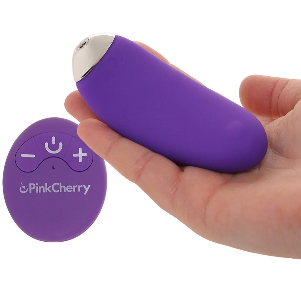PinkCherry Remote Control Panty Vibe in Purple