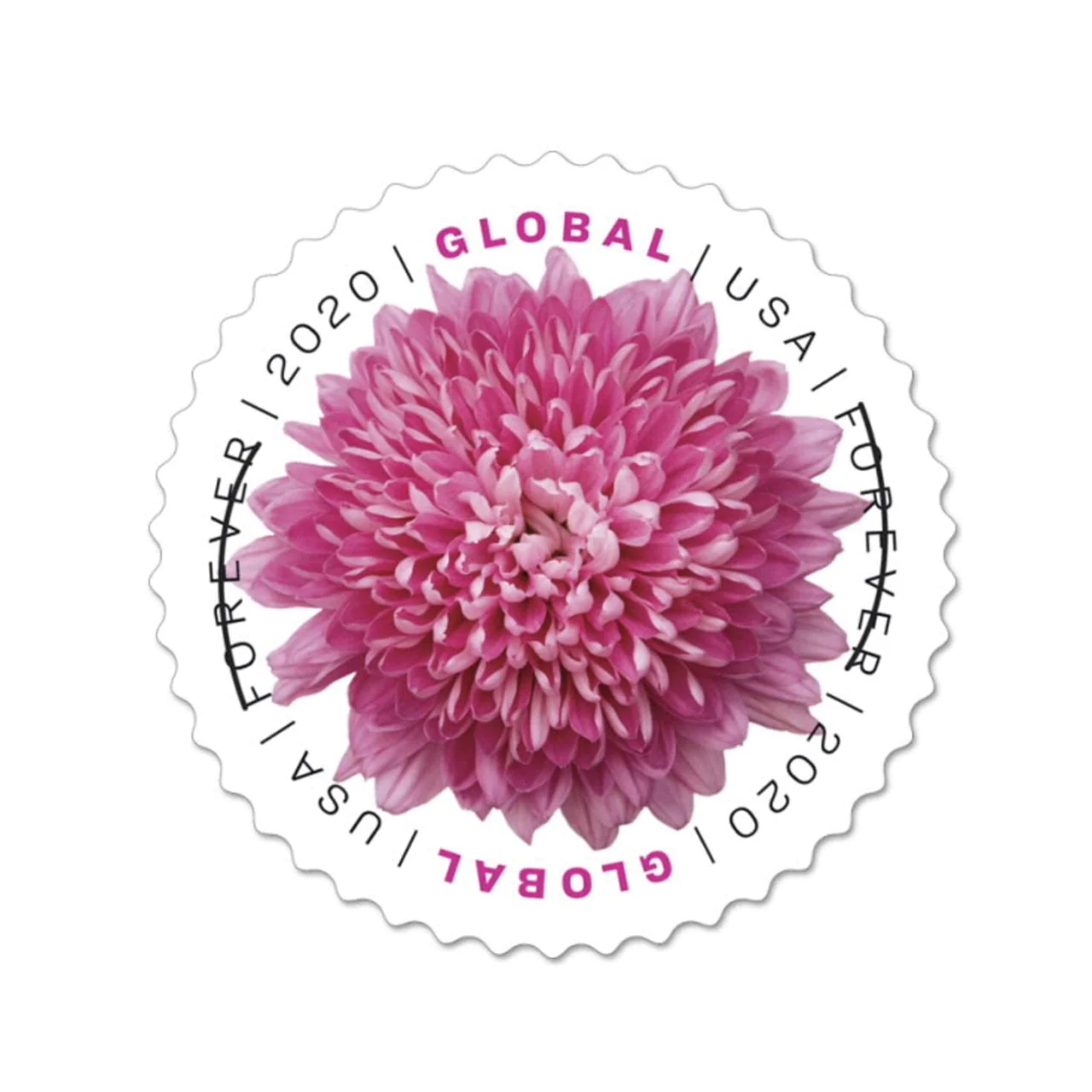 2020 Chrysanthemum Stamps 100pcs/Pack