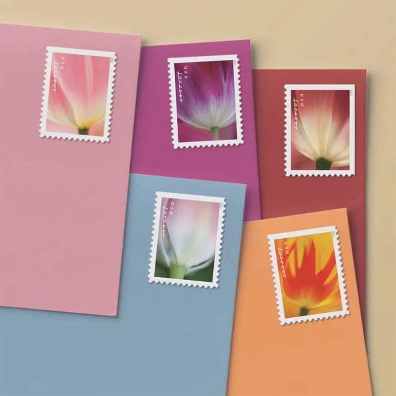 100 Forever Stamps 2023 USPS First-Class Tulip Blossoms 2023 Stamp 5 Books (20PCS/Book)