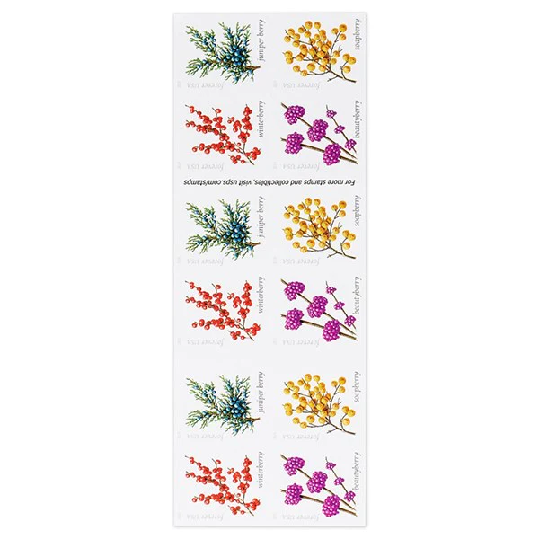 2019 Winter Berries 100pcs/Pack