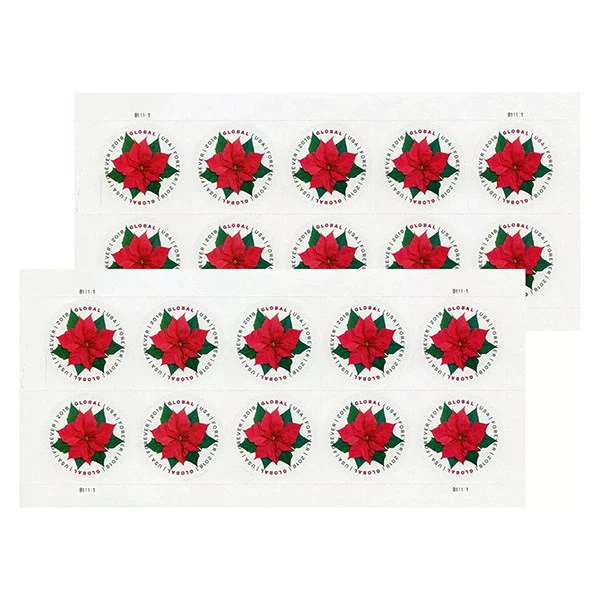 2018 Global Poinsettia International 100pcs/Pack
