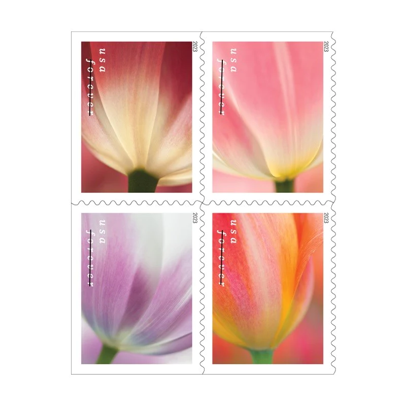 100 Forever Stamps 2023 USPS First-Class Tulip Blossoms 2023 Stamp 5 Books (20PCS/Book)