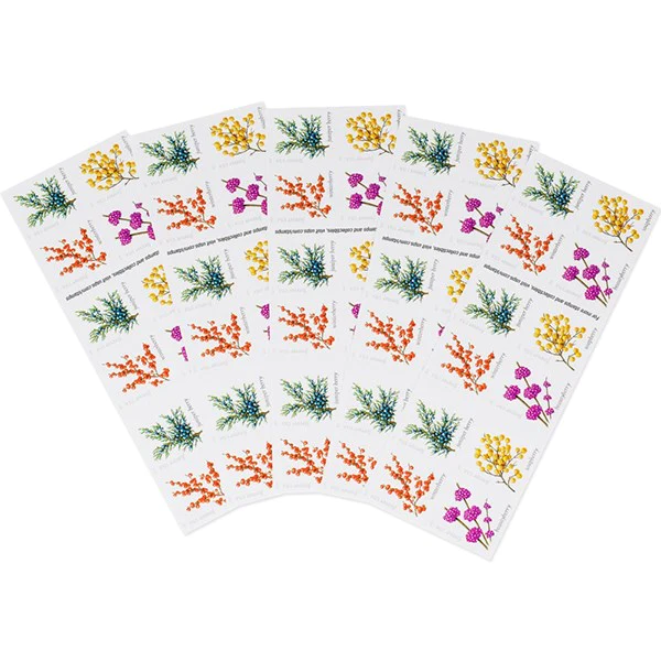 2019 Winter Berries 100pcs/Pack