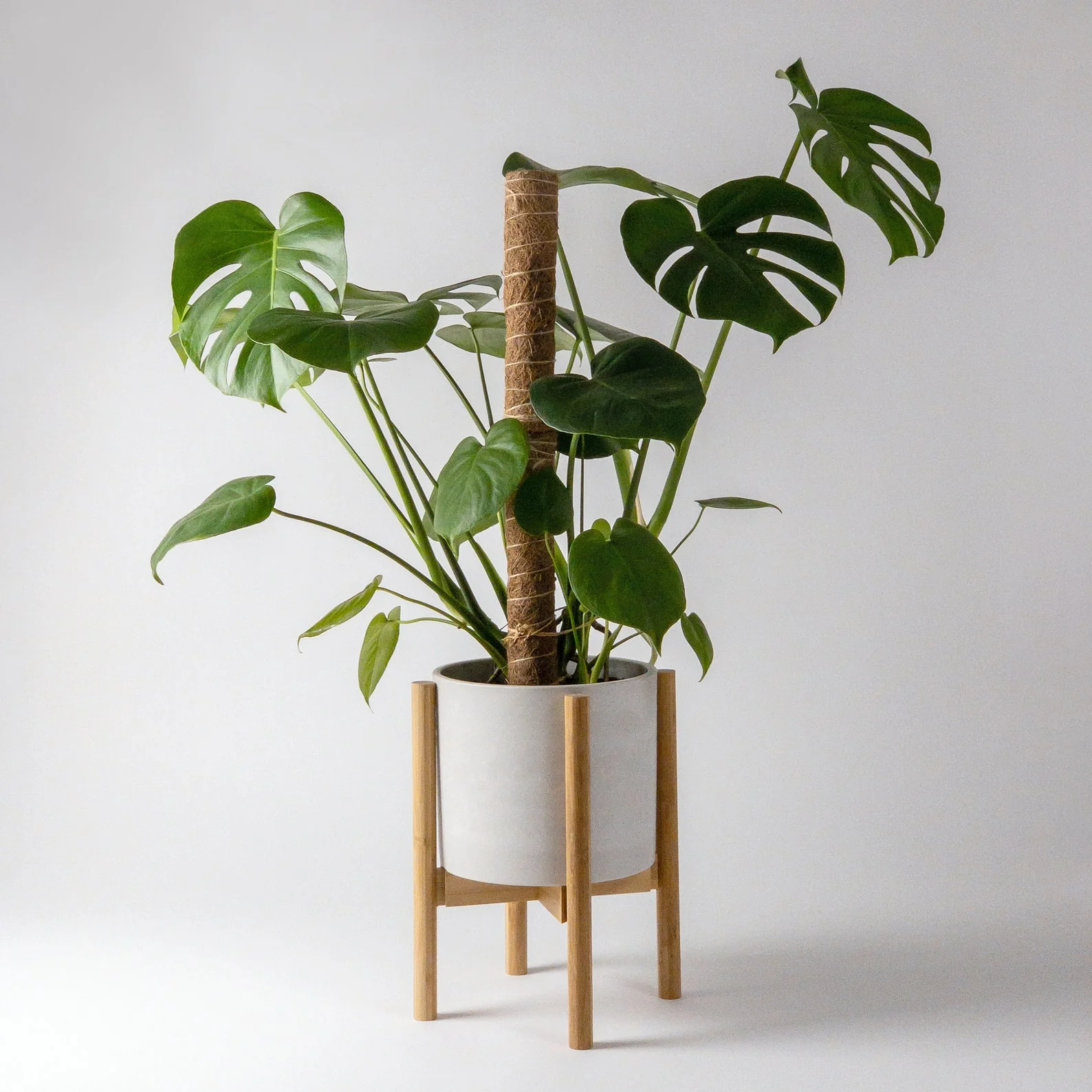 Adjustable Bamboo Plant Stand