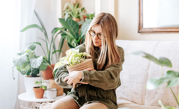 Preparing Your Plants for the Cold Season: Essential Care Tips