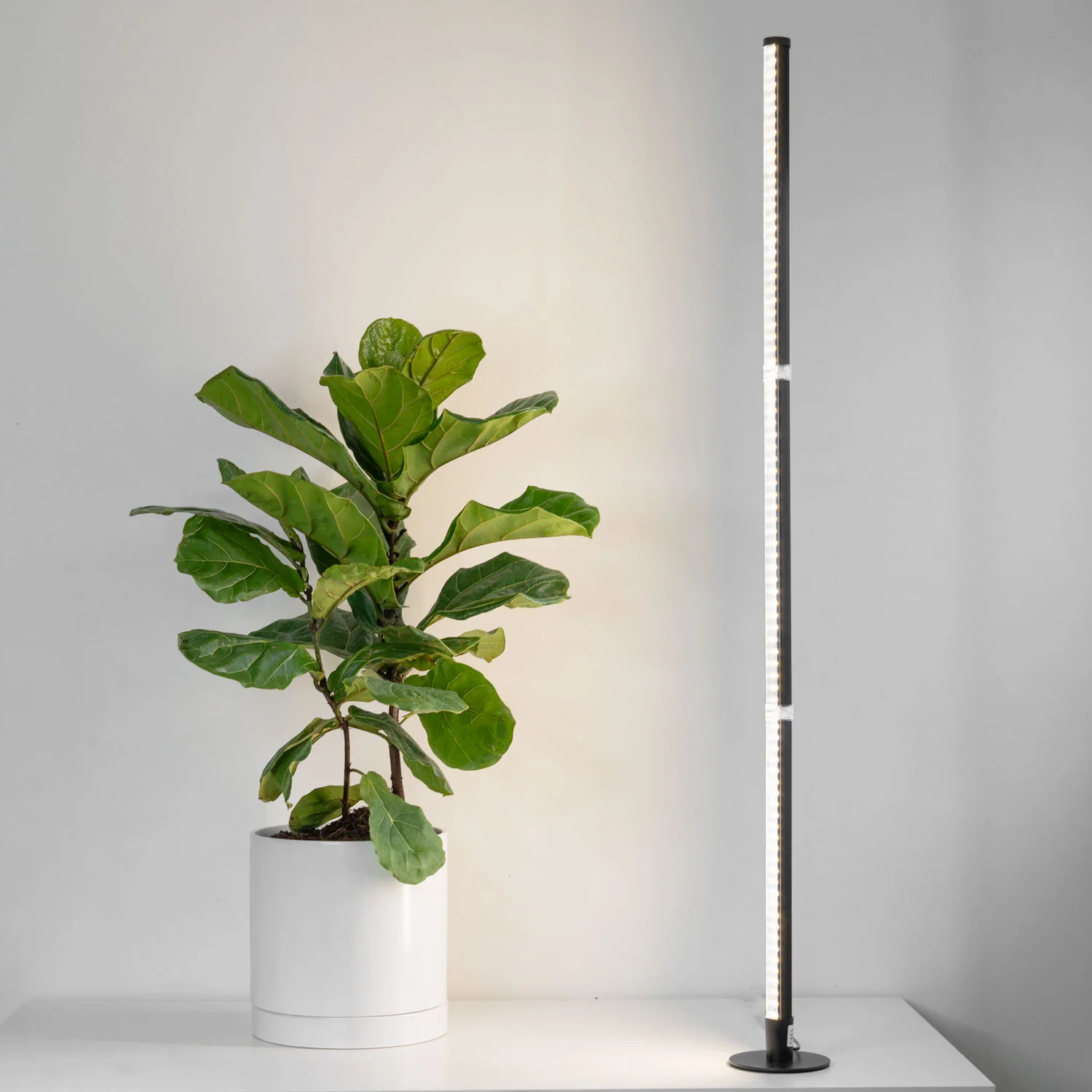 Gamzzo Rise - Grow Lamp