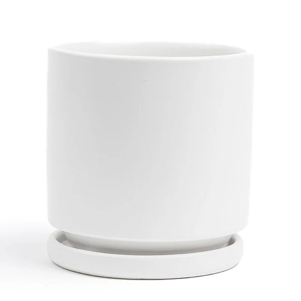 10 Ceramic Pot with saucer (White)