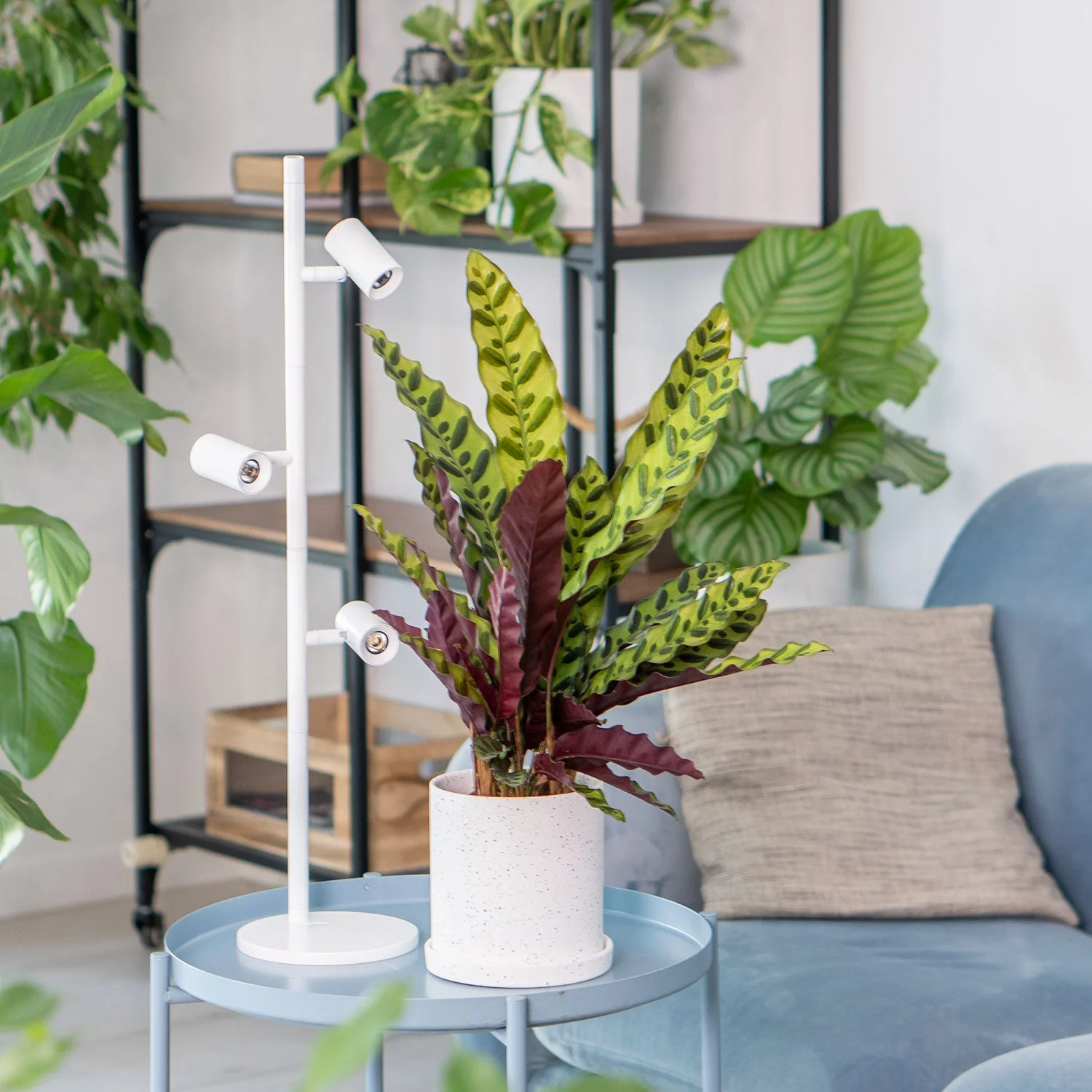 Gamzzo Smart - Grow Lamp (White)