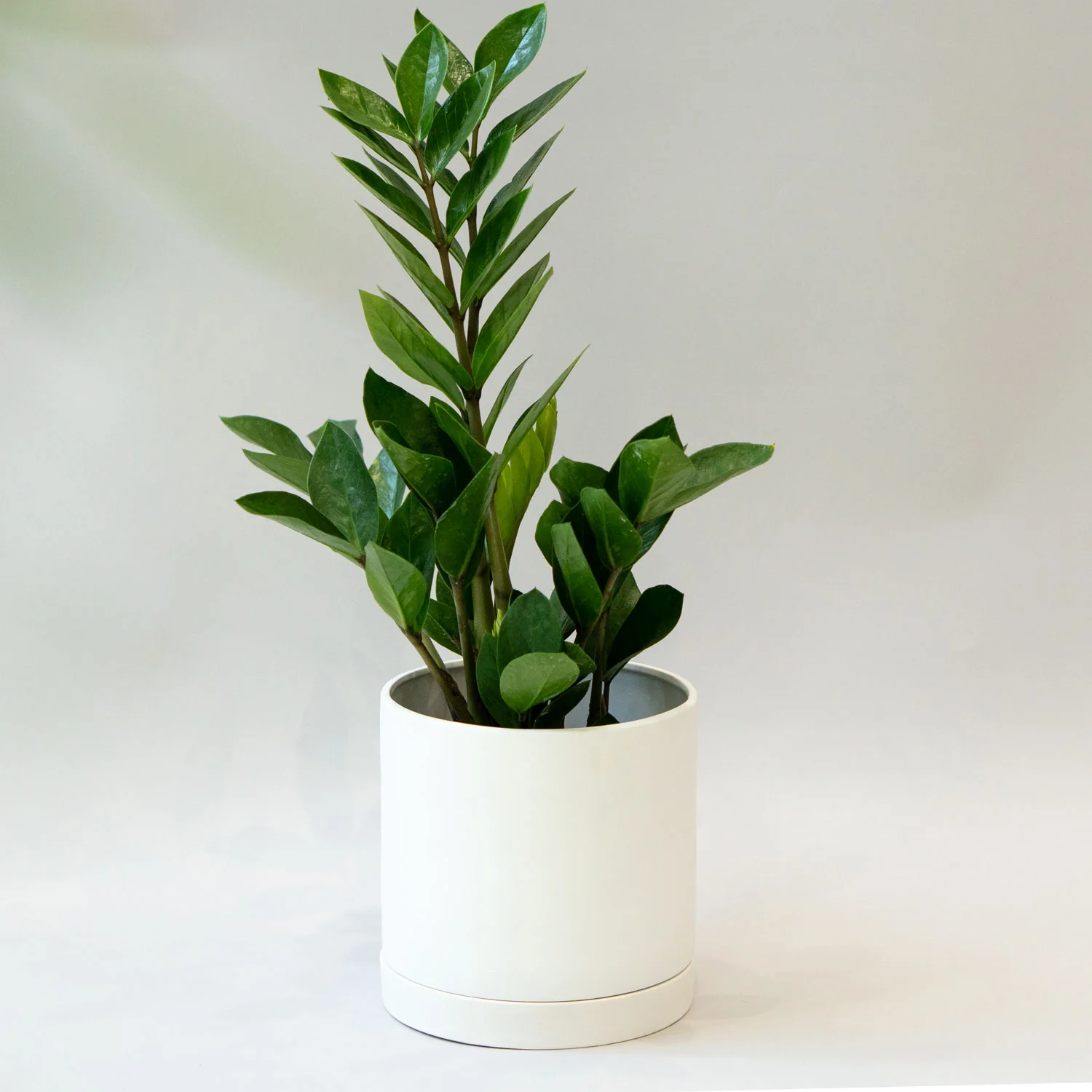 4.5 Pot with saucer (White)