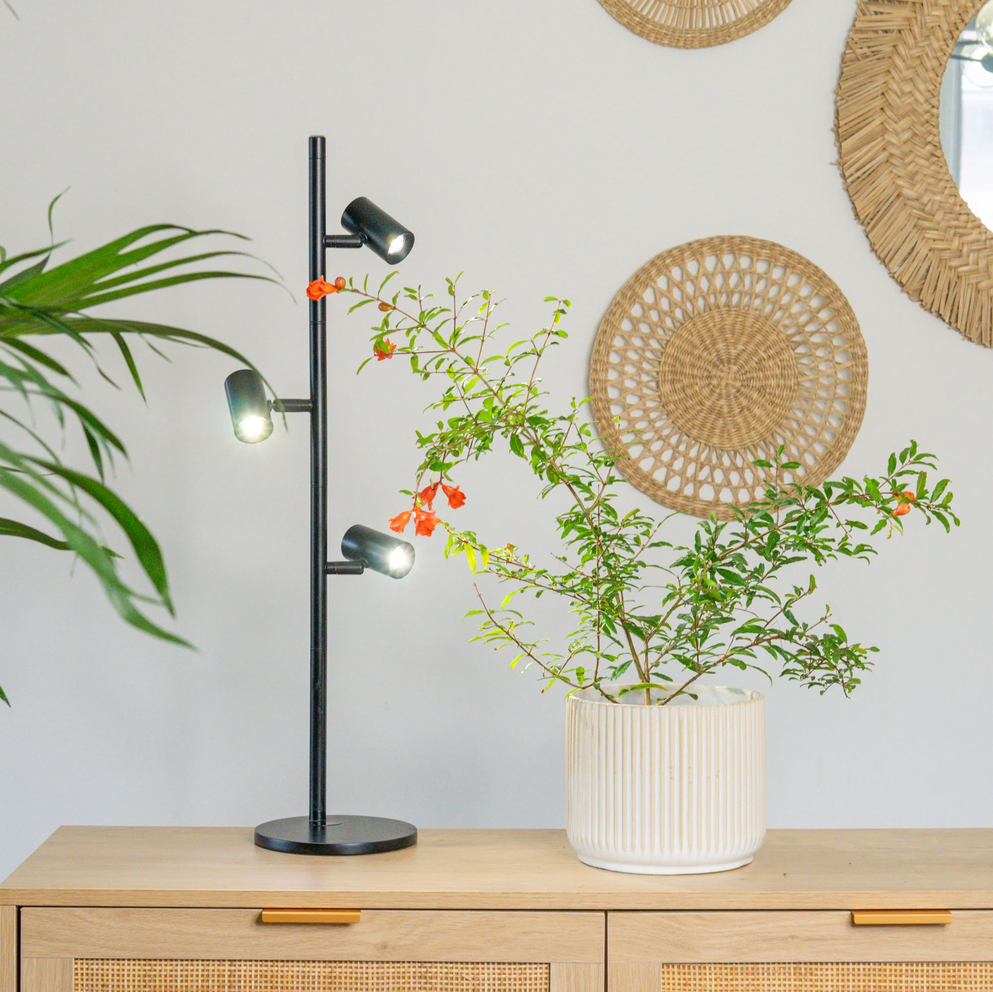 Gamzzo Smart - Grow Lamp (Graphite) Х 3