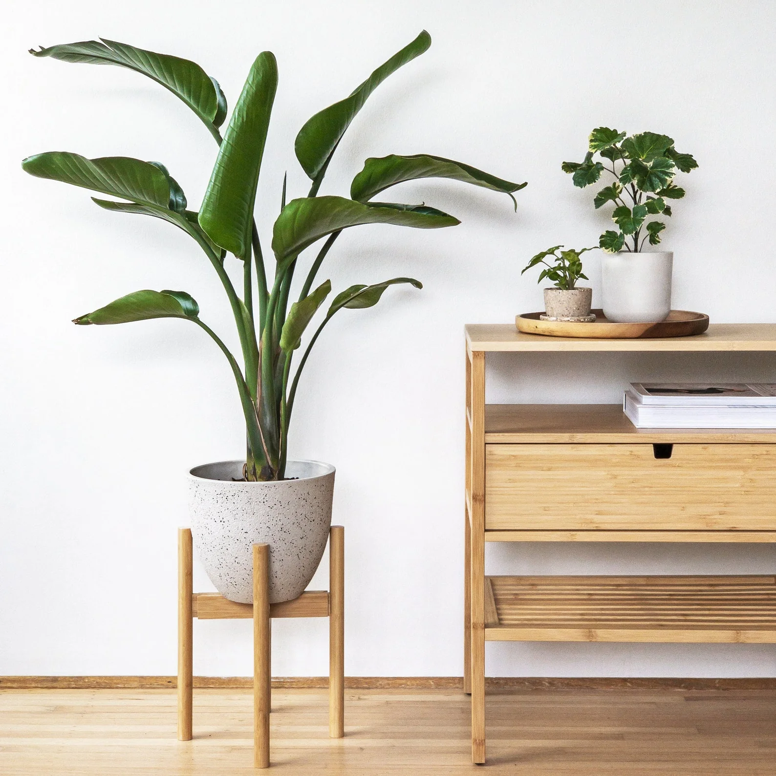Adjustable Bamboo Plant Stand
