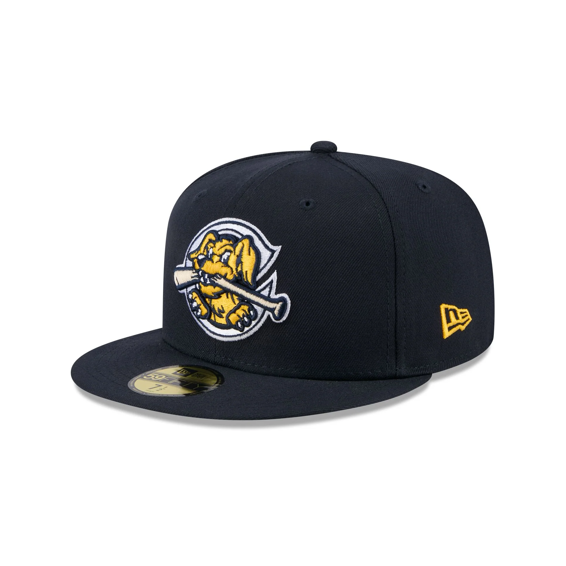 Charleston RiverDogs Authentic Collection 59FIFTY Fitted Hat
