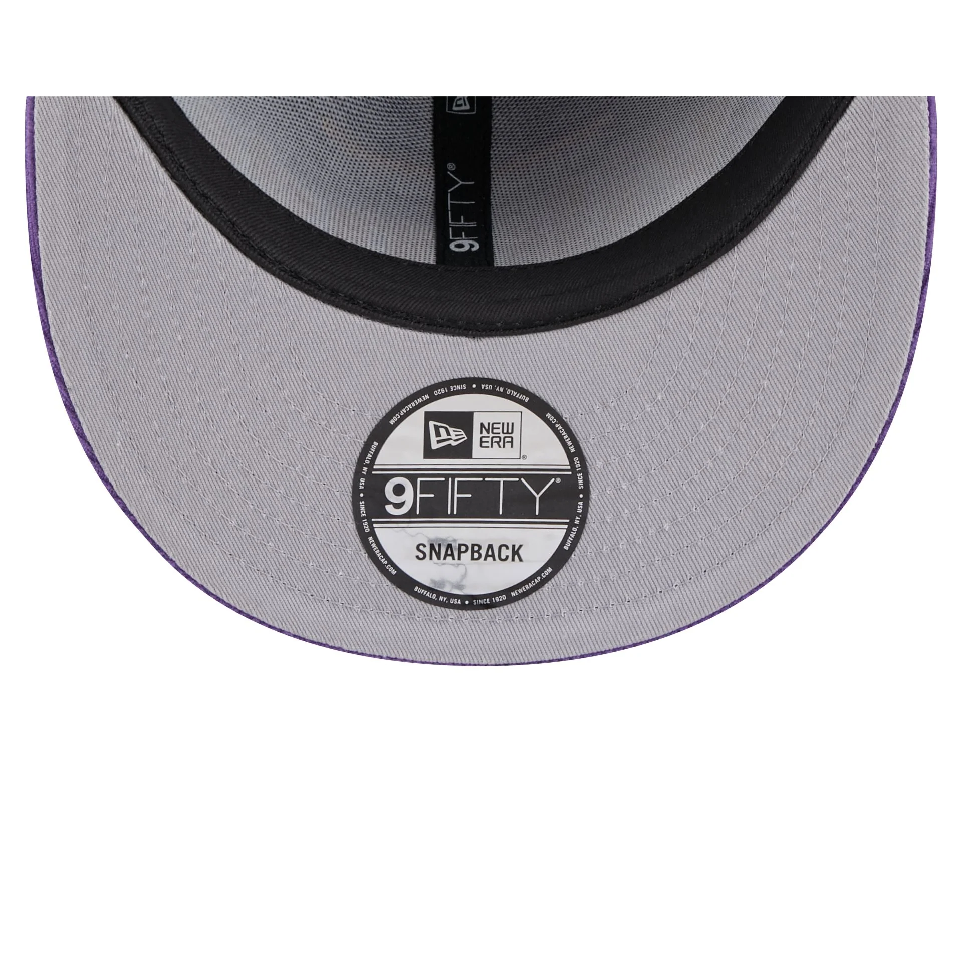 Minnesota Vikings Throwback Display 9FIFTY Snapback Hat