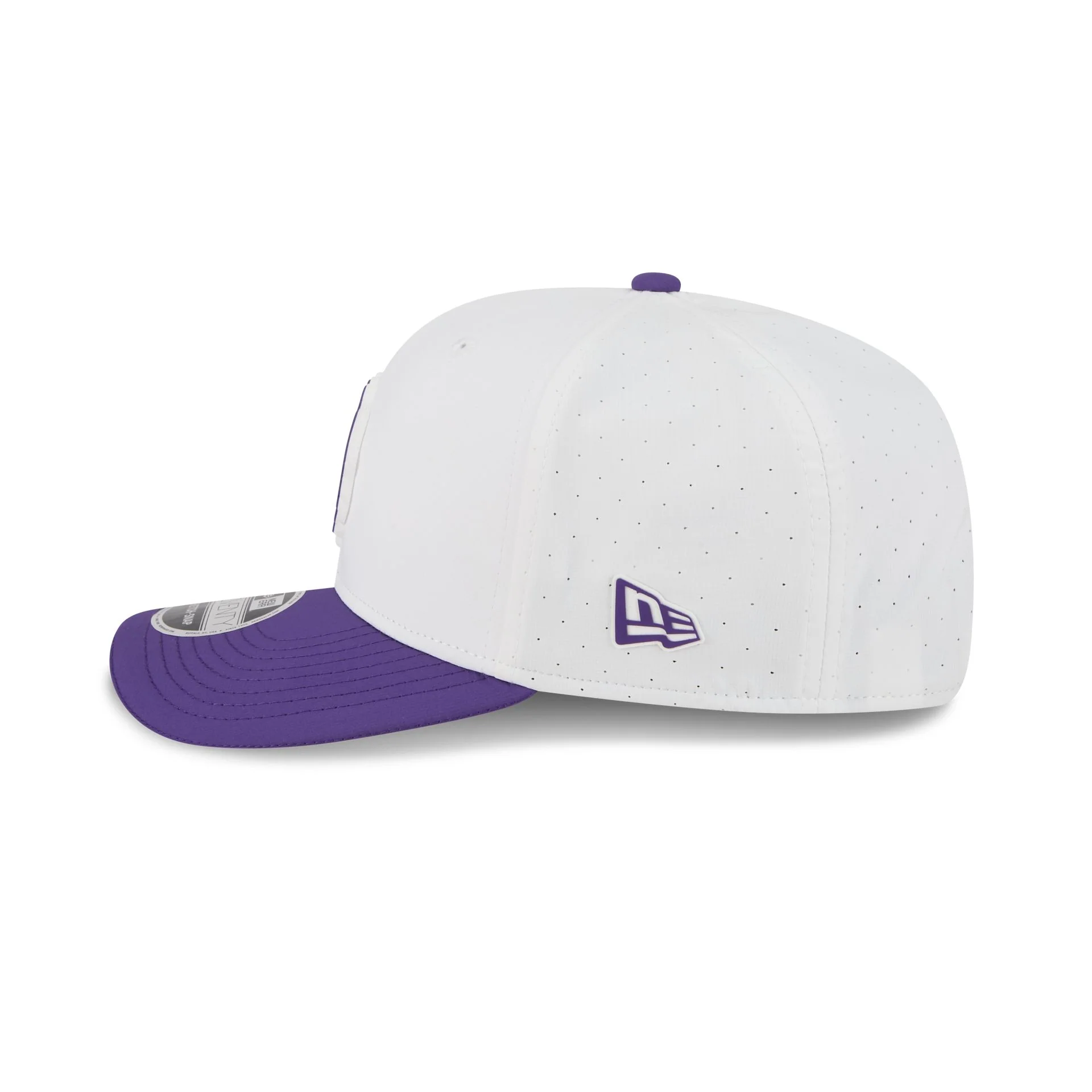 Minnesota Vikings 2025 Training 9SEVENTY Stretch-Snap Hat