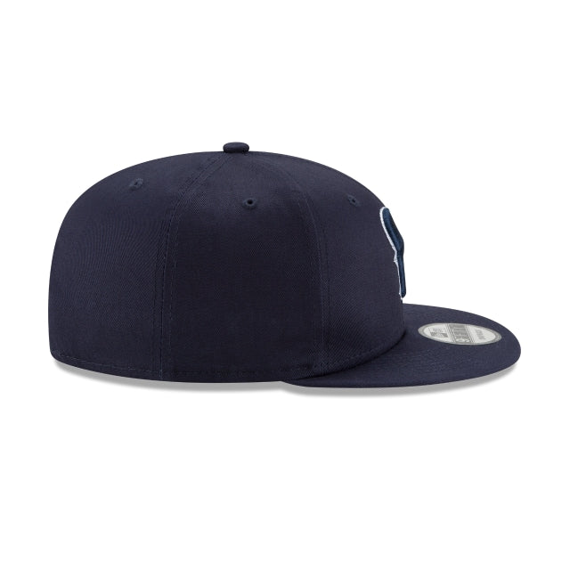 Houston Texans Basic 9FIFTY Snapback Hat