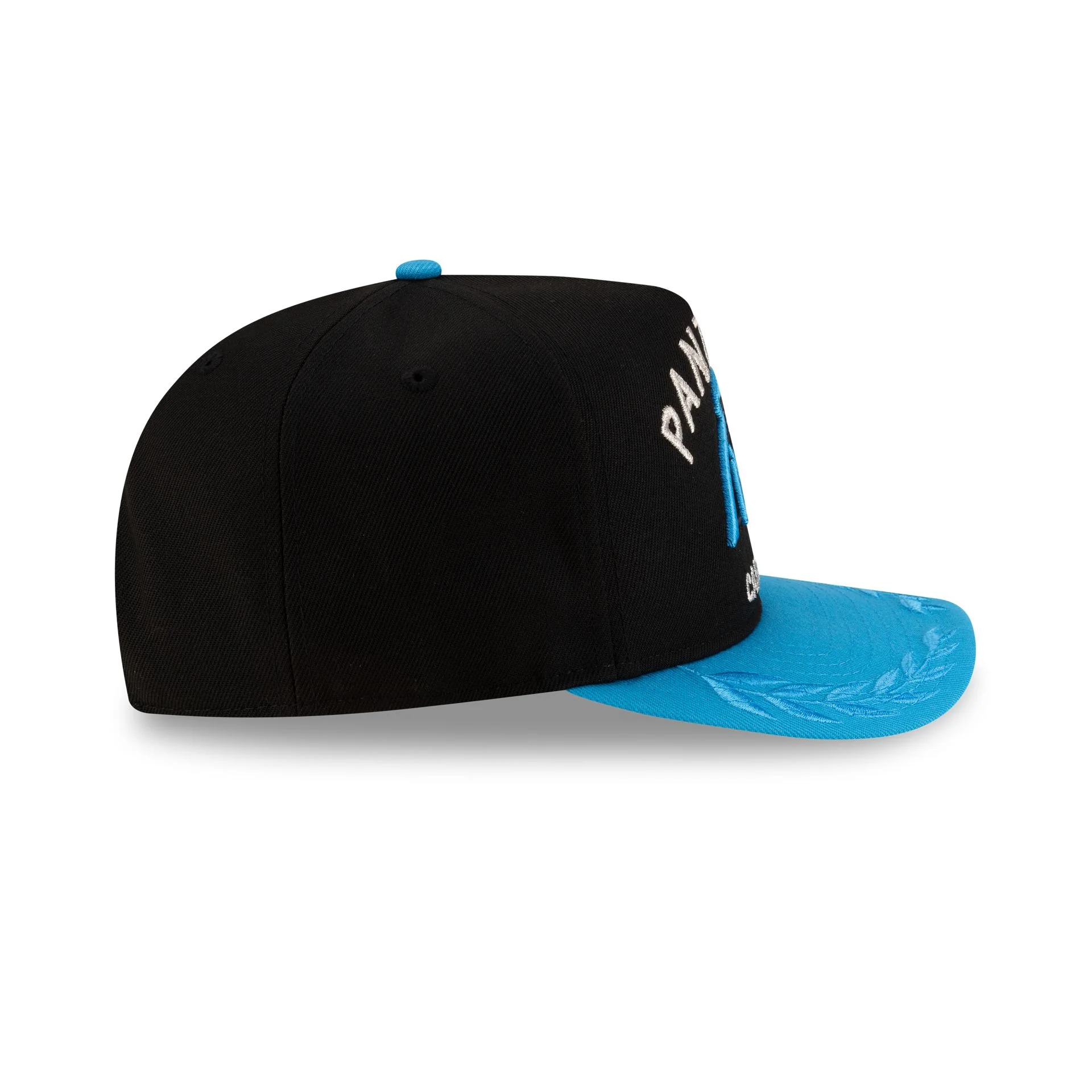 Carolina Panthers 2025 Draft Golfer Hat