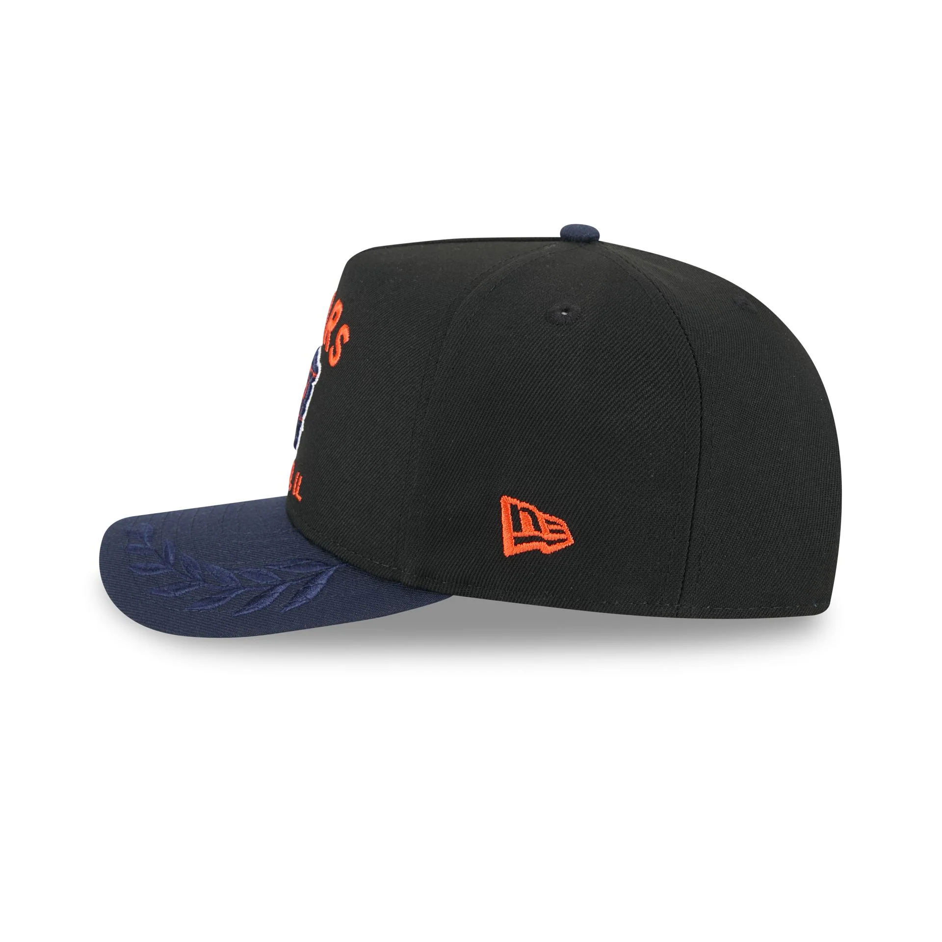 Chicago Bears 2025 Draft 9FIFTY A-Frame Snapback Hat