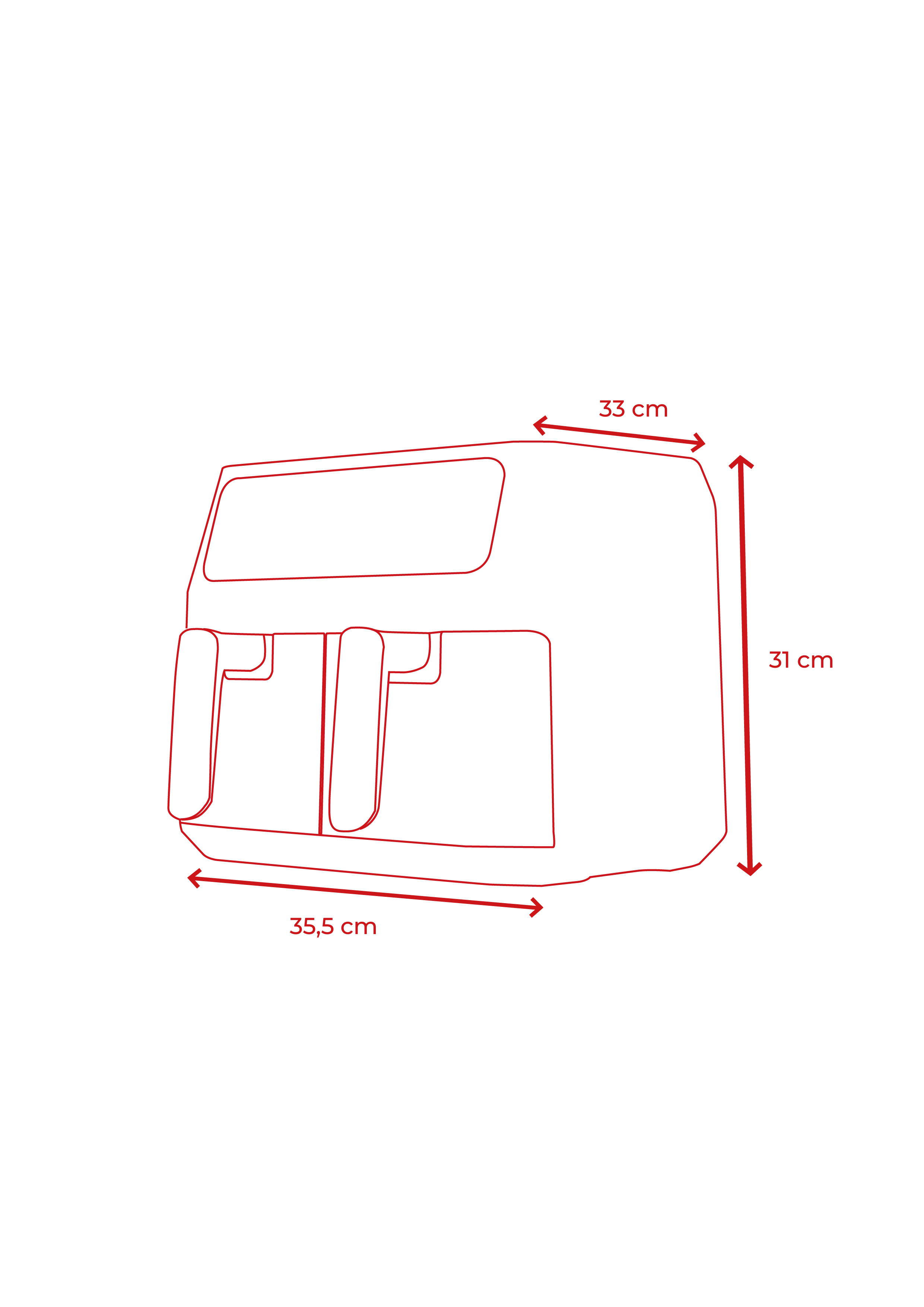 Freidora sin aceite EVVO Tasty Fryer 8L