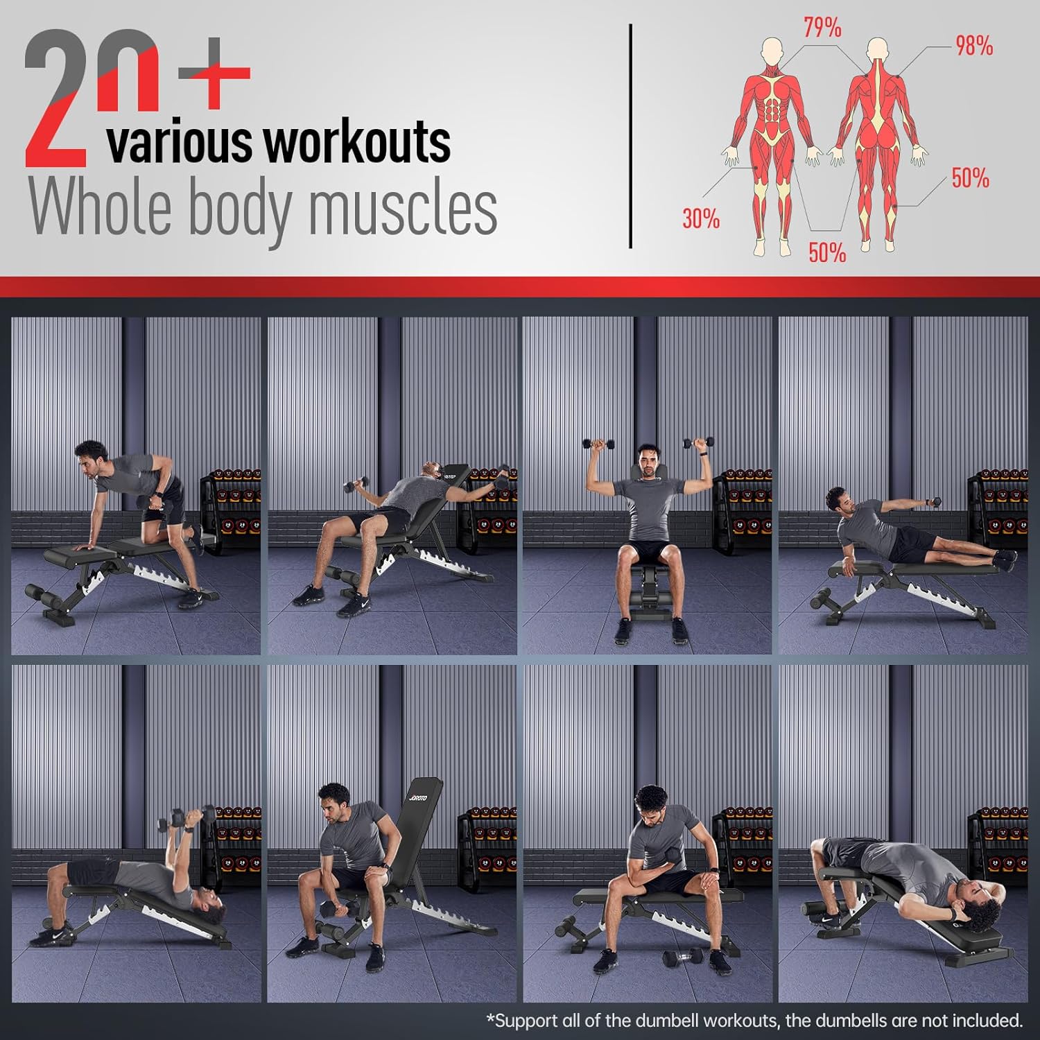 JOROTO Prensa de banco de pesas ajustable, banco de entrenamiento plegable de carga de 700 libras/800 libras/1000 libras para entrenamiento de fuerza de cuerpo completo