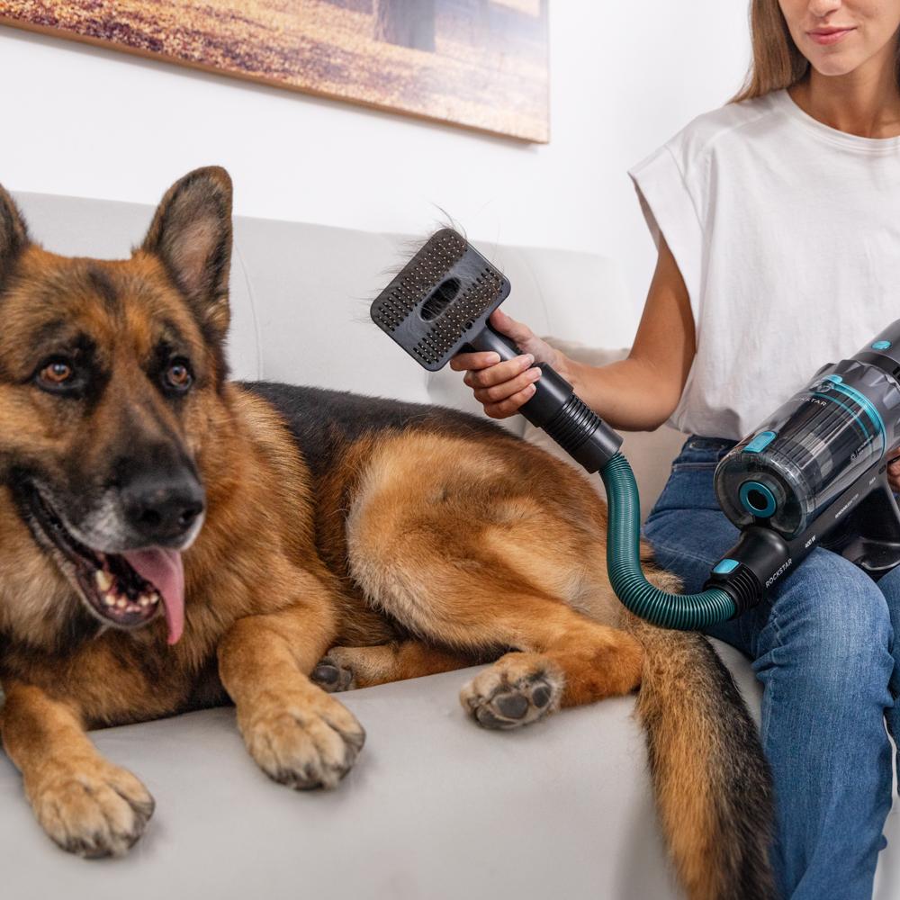 Conga Rockstar 2500 Thunder Flex Animal