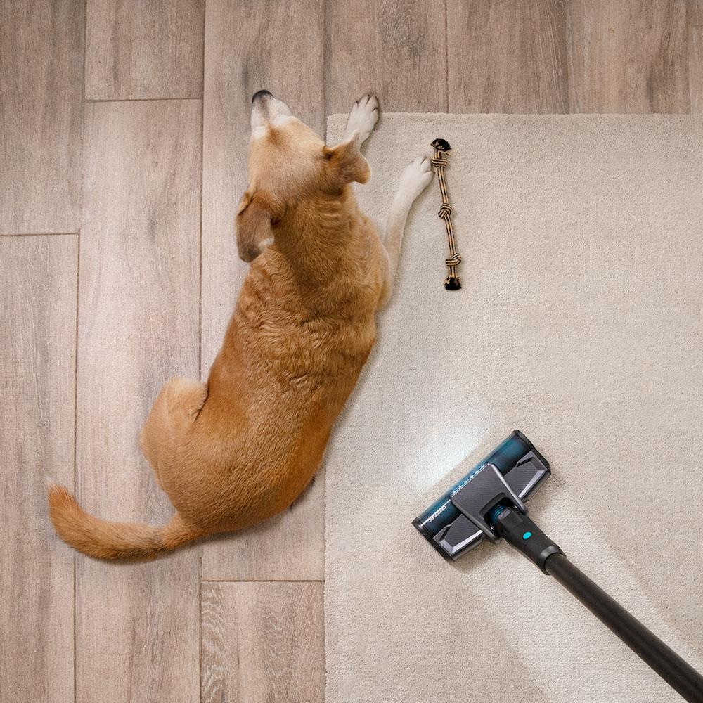 Conga Rockstar 2500 X-Treme