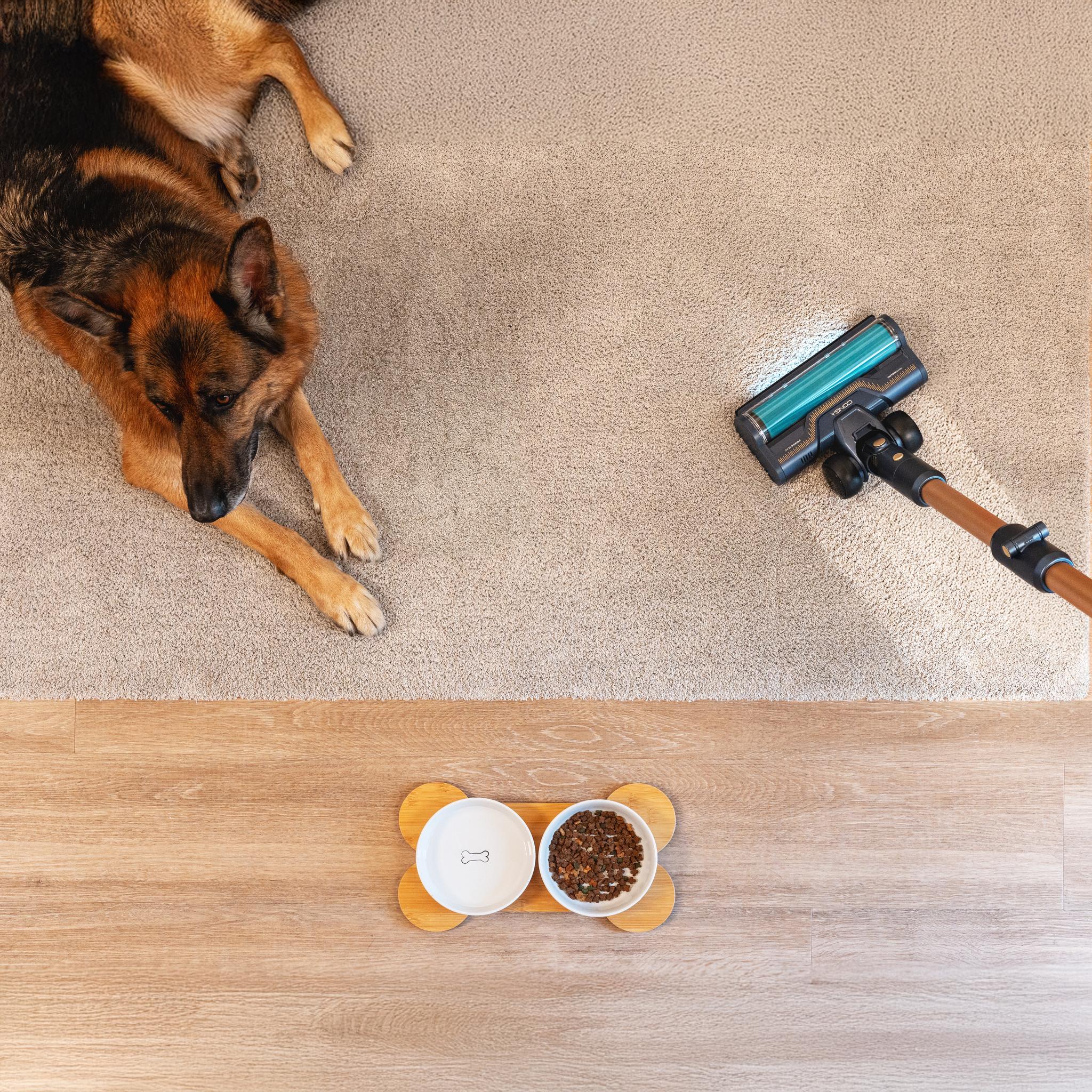 Conga Rockstar 10500 Solar AquaPet Flex