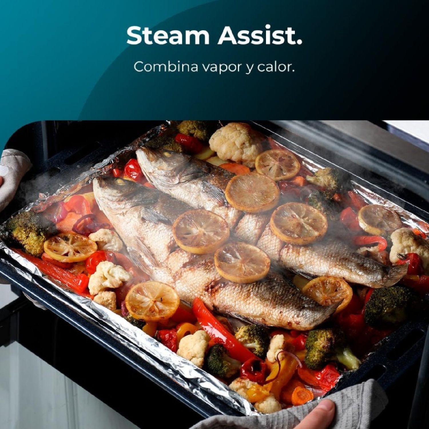 Horno Multifunción Bolero Hexa M226000 Inox A Cecotec