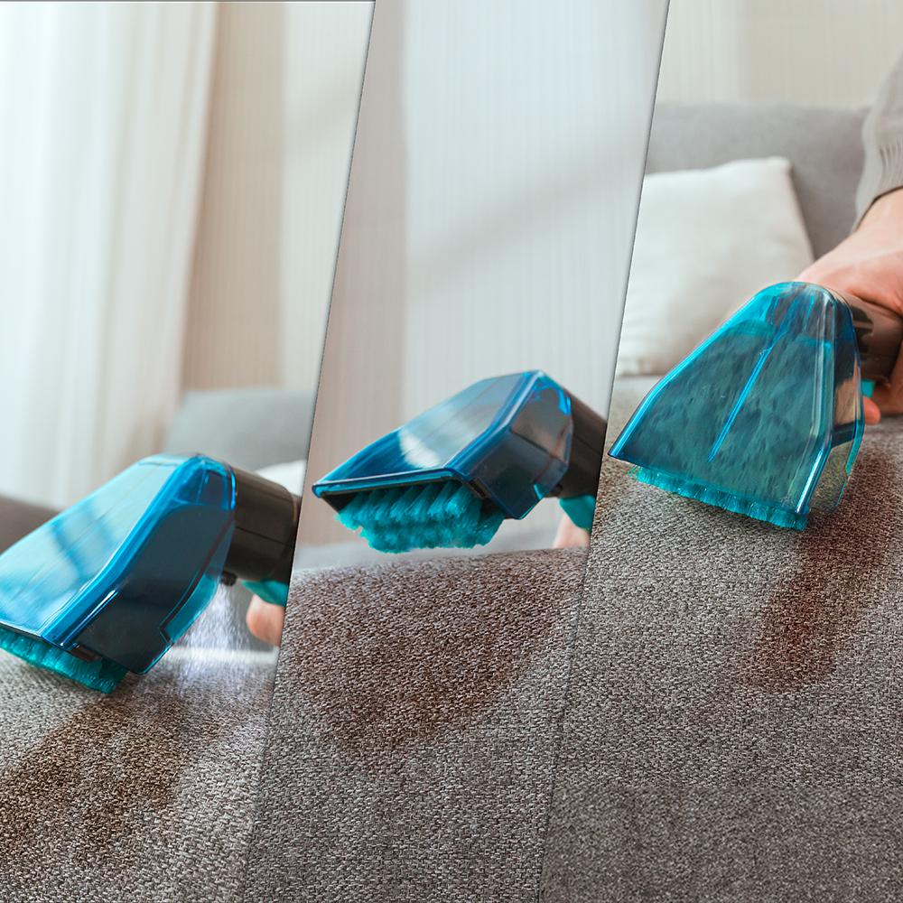 Conga 5000 Carpet&Spot Clean XXL