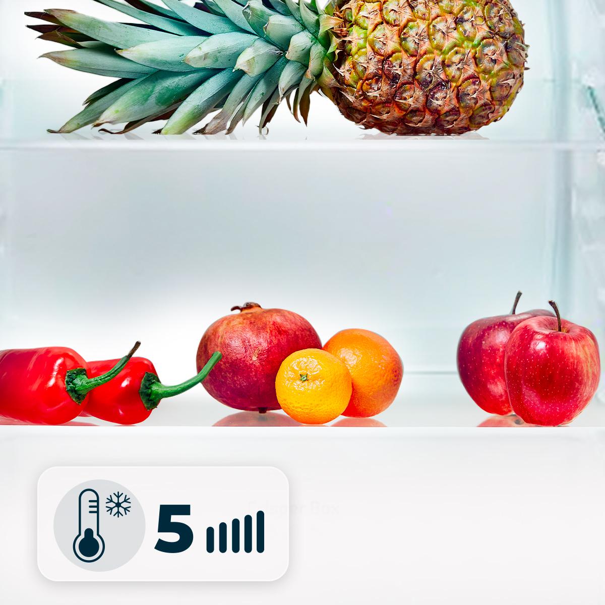 Bolero CoolMarket TT 90 White E