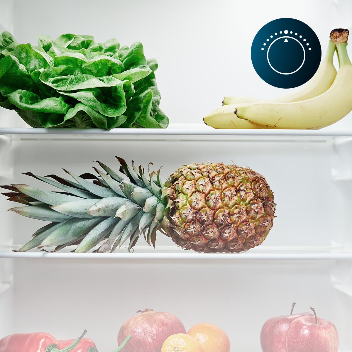 Bolero CoolMarket TT 114 L White