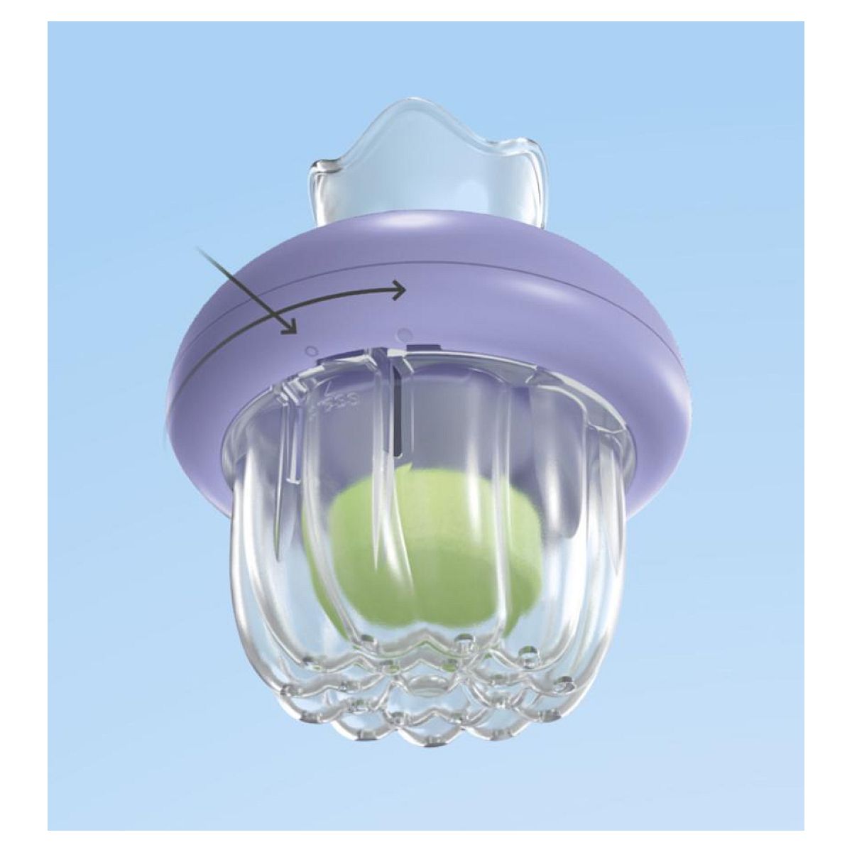 Junior Aqua Y Tinti: Familia De Medusas