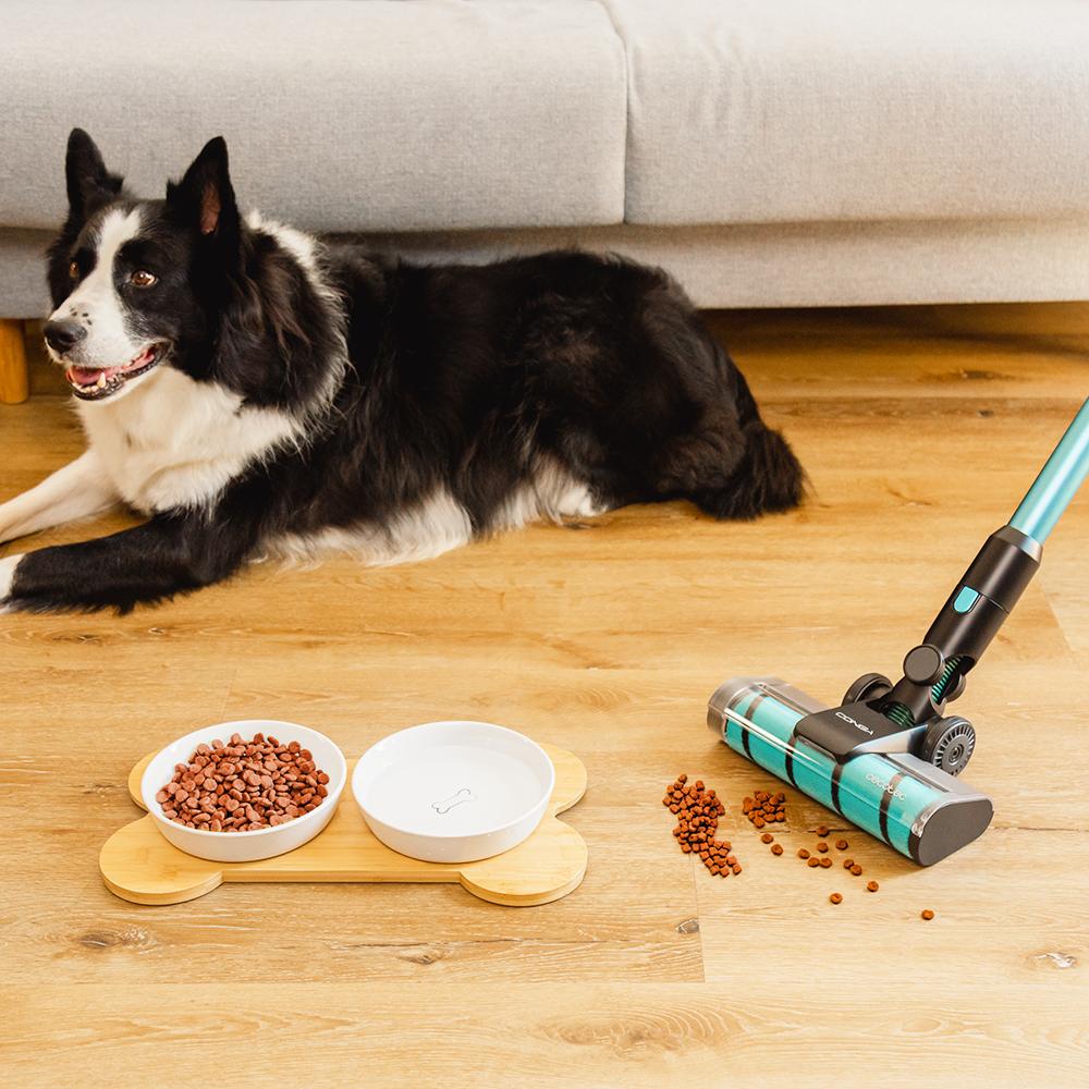 Conga Rockstar 3500 Storm Flex Animal