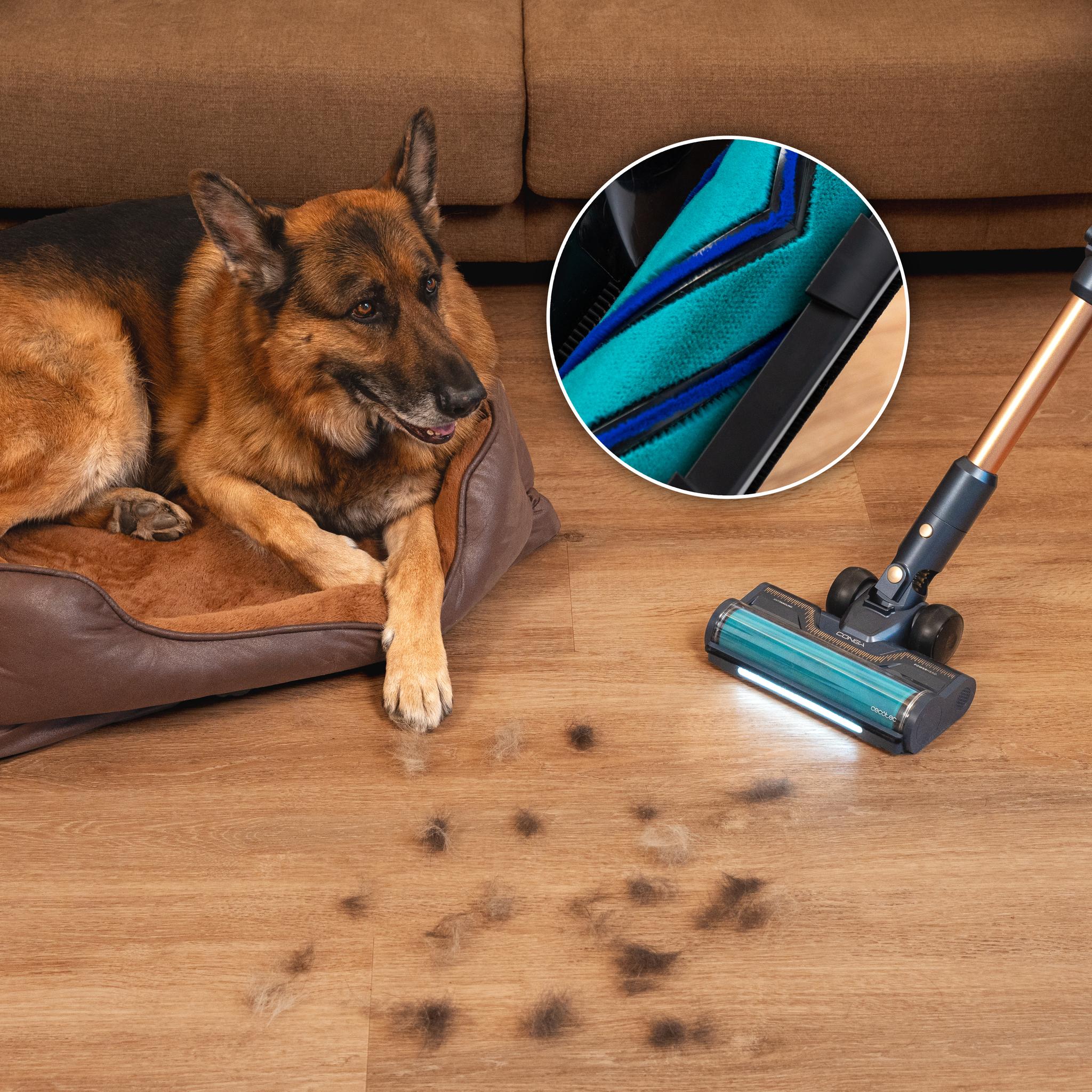 Conga Rockstar 10500 Solar AquaPet Flex