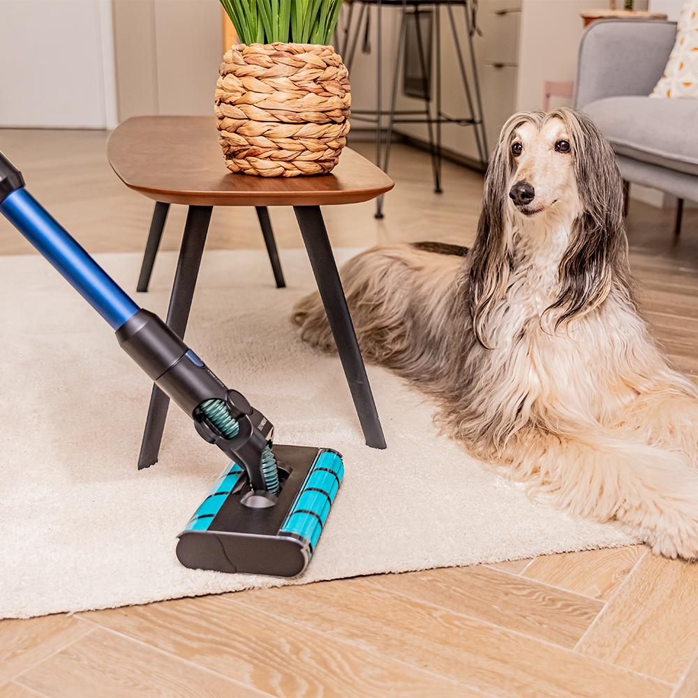 Conga Rockstar 5500 Hurricane ErgoTwice Animal