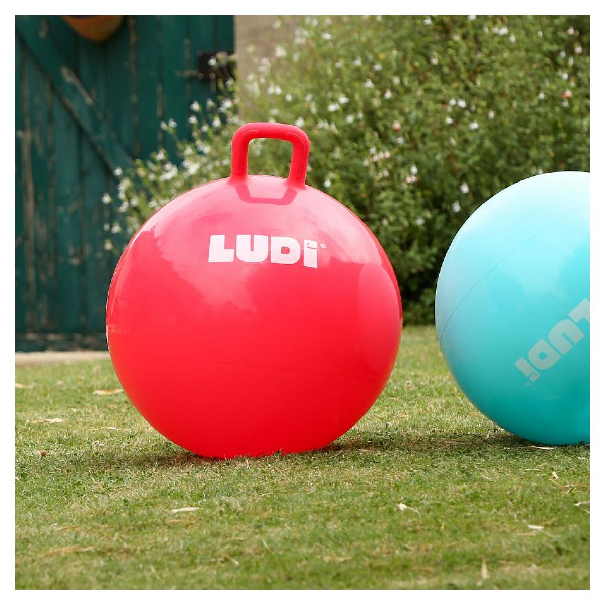 Pelota Saltadora Xxl Roja Ludi