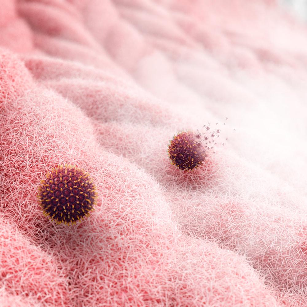 Bolero Dresscode 8400 Inverter M