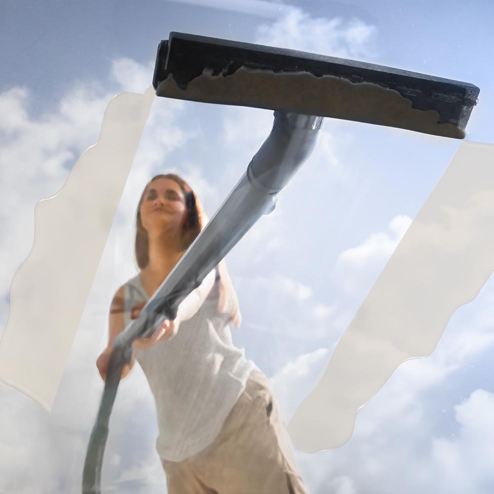 Conga CarpetClean 20000 Pro