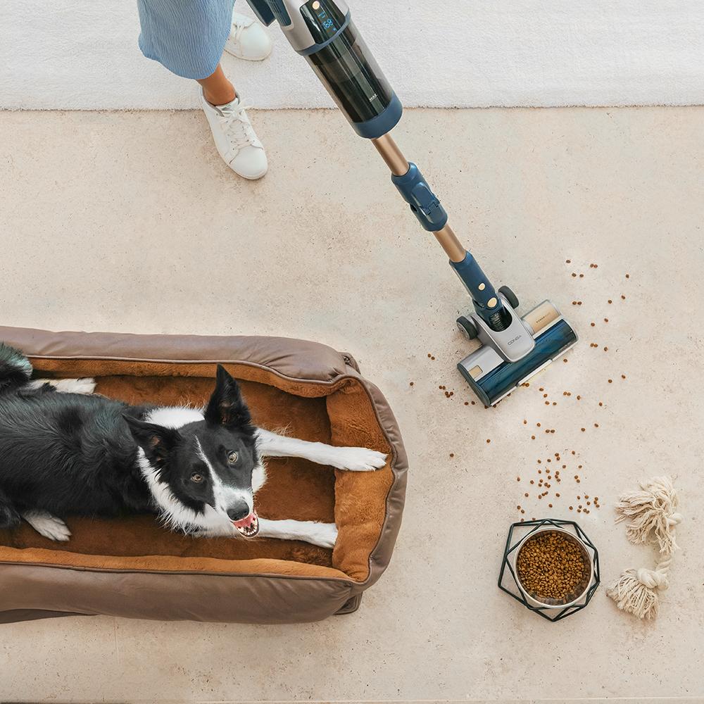 Conga Rockstar 11500 Odyssey Station Connected IA