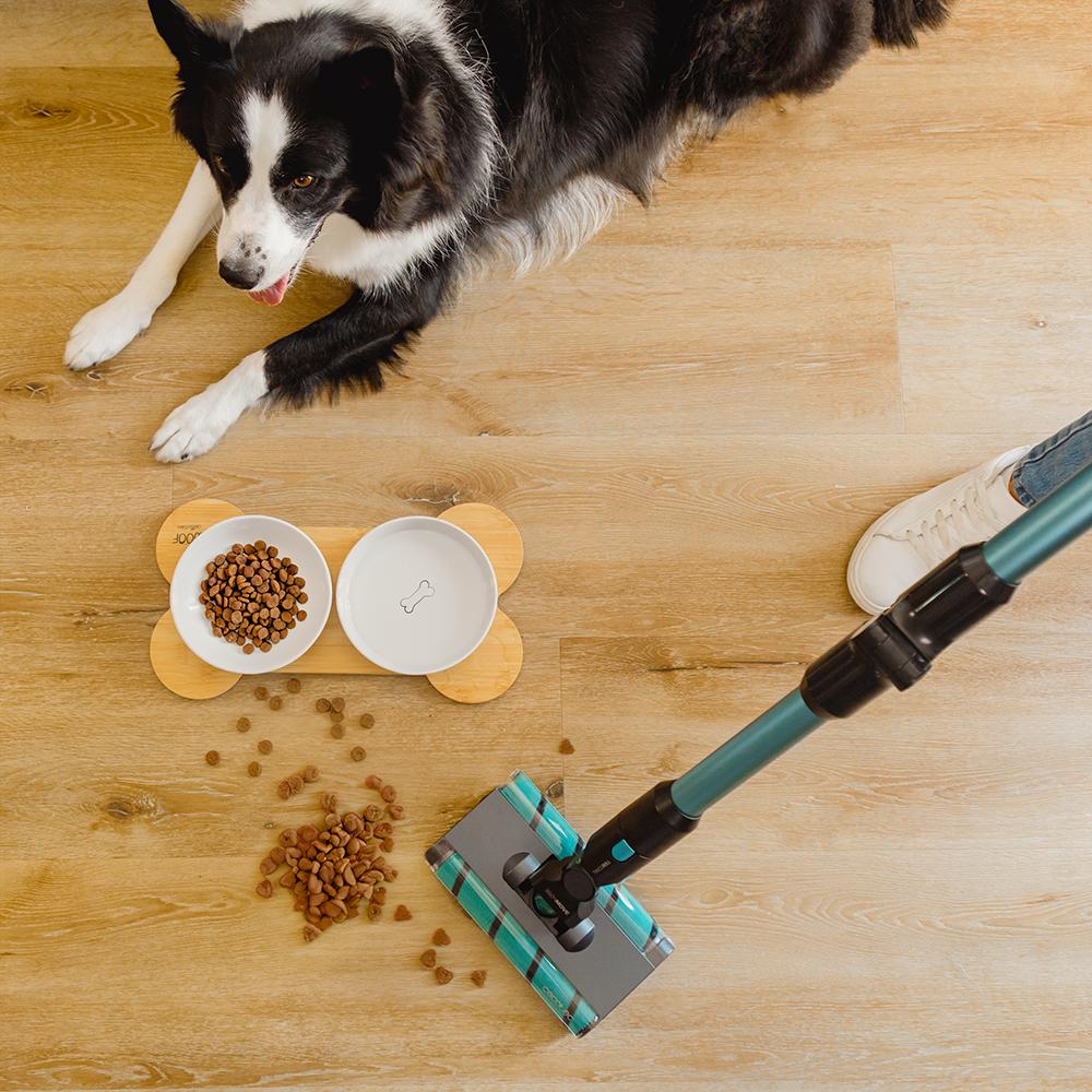 Conga Rockstar 3500 Storm ErgoTwice Animal