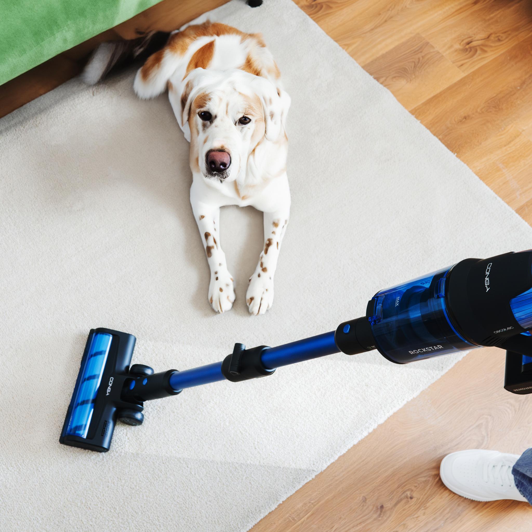 Conga Rockstar 8500 Infinity ErgoWet Animal T