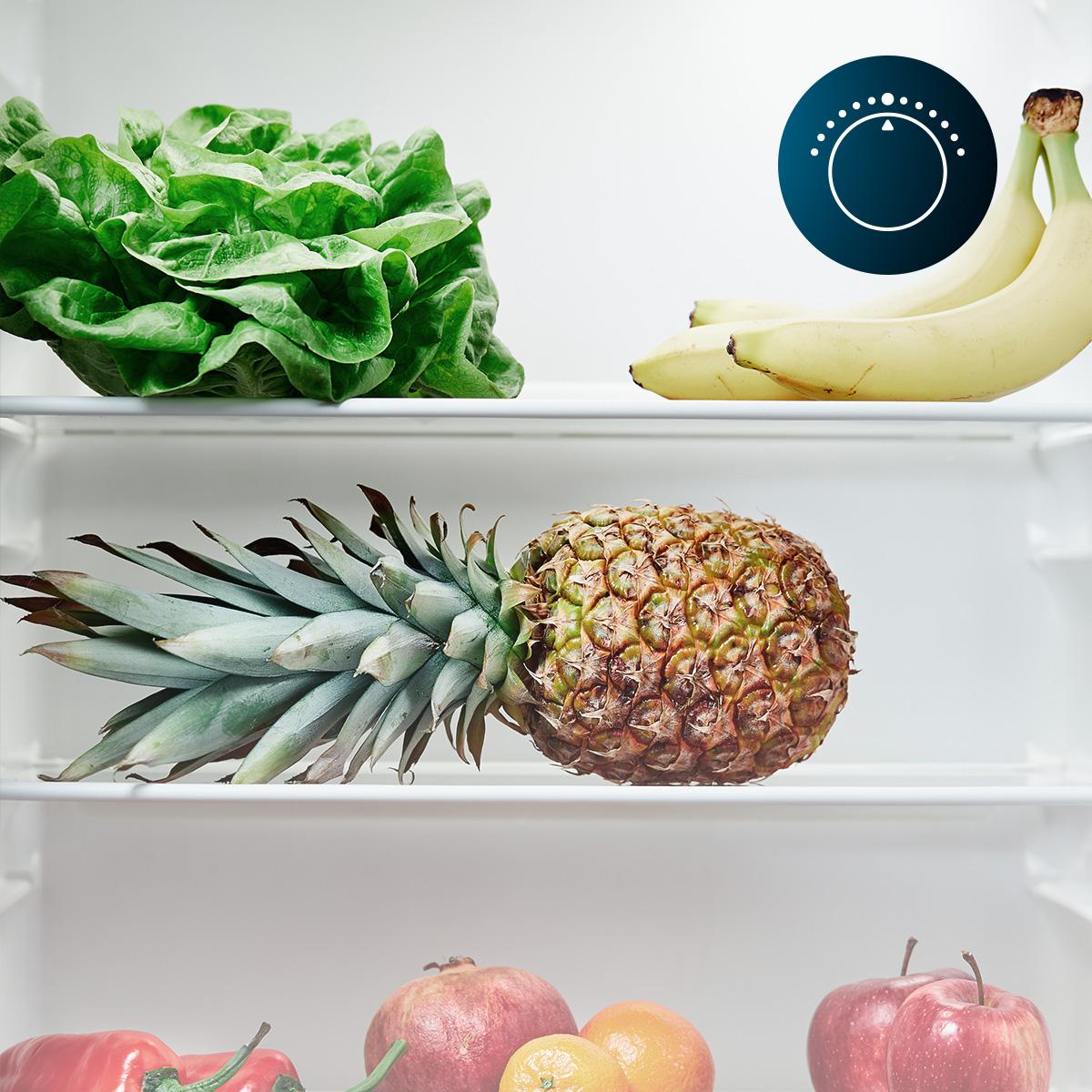 Bolero CoolMarket TT 114 L Inox