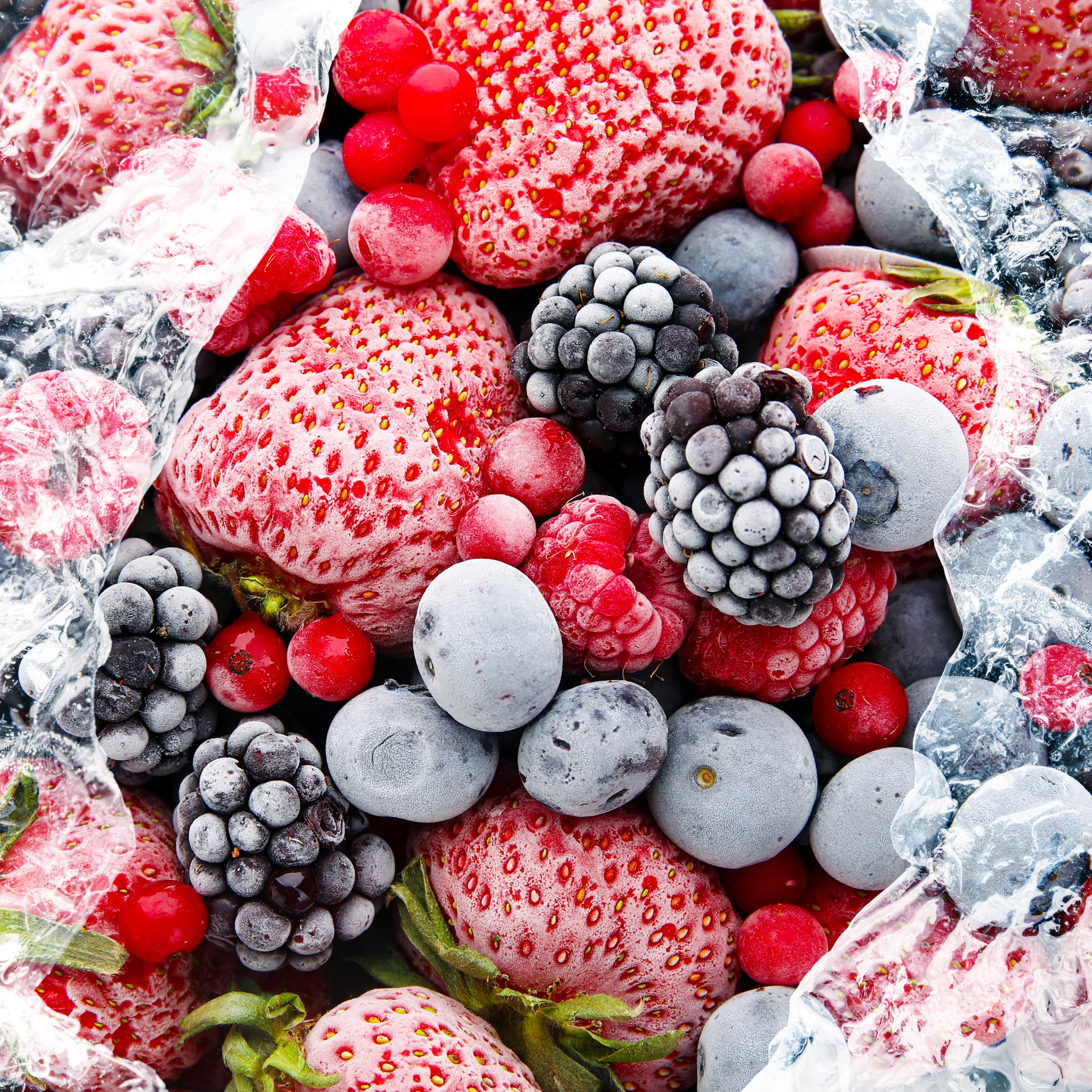 Bolero CoolMarket Chest 199 white E