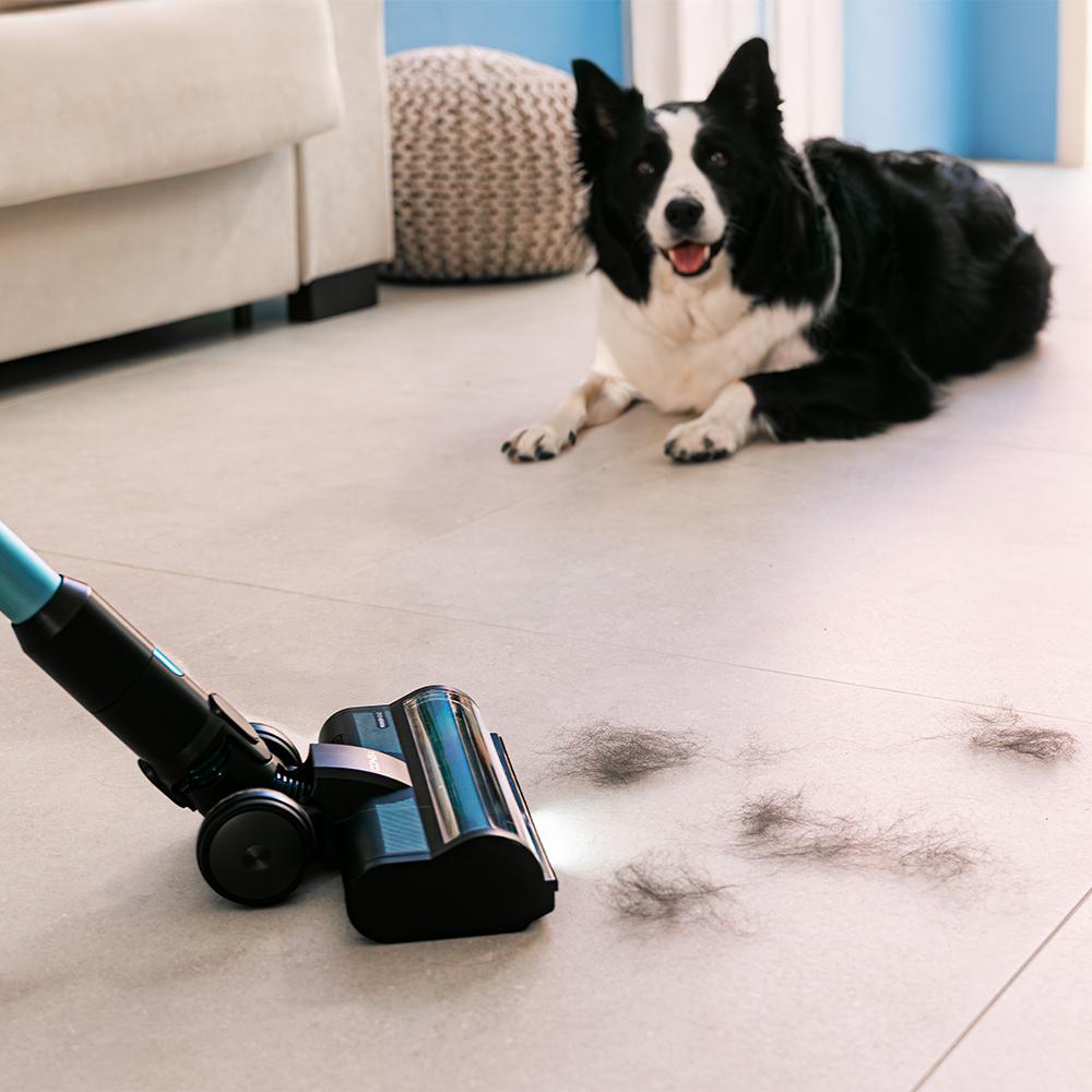 Conga Rockstar 3500 Storm Pet Flex